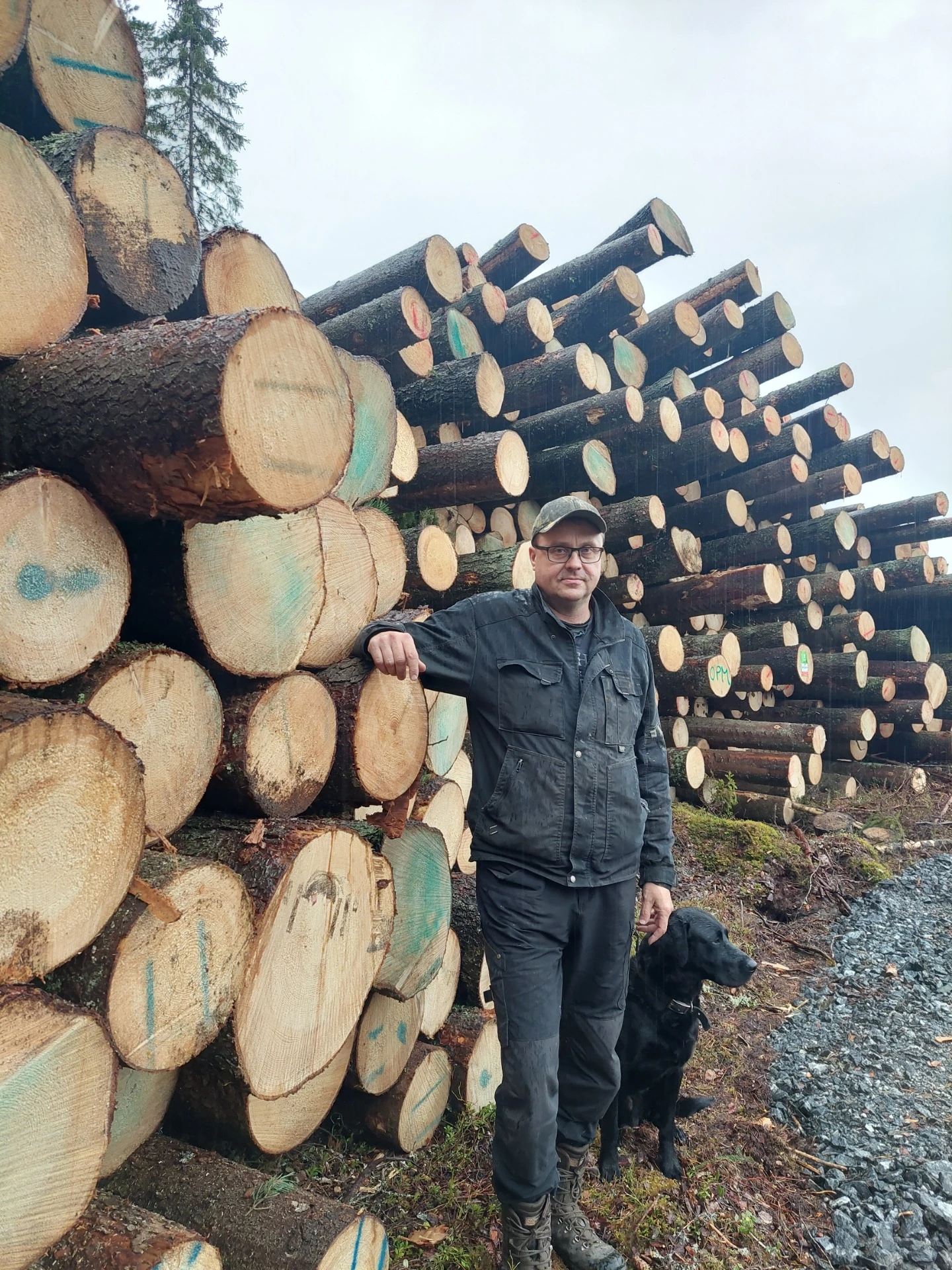 Metsäpalvelu Juntu Oy työmaalla